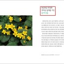 내마음의여행 이미지