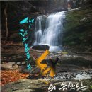 춘하추동 이미지