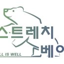 스트레치베어