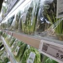 “풍년인데도 비싸다”…밥상 덮친 ‘기후위기 청구서’ 입력 2025.08.30 경향신문 이미지