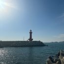 옥천(부산) | [부산]영도 옥천횟집, 해물라면 맛집/내돈내산 솔직후기