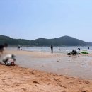 치킨플러스 - 은평구 통일로78길 13 | 을왕리해수욕장에서 배달되는 음식 추천 "치킨플러스 인천을왕리점" (내돈내산 솔직후기)