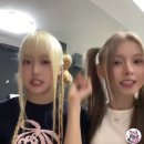 하니즈 Daum카페