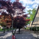 매봉힐링캠프 이미지