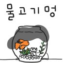 은이골가족캠핑장 네이버블로그