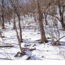 운장산 넘는길 이미지