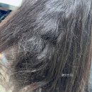 전주미용실 레이어드컷 허쉬컷 장인 커넥션에서 매직하고 온 솔직후기