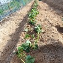 한얼농장 이미지