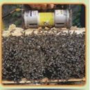 대광산업 이미지