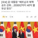 [속보] 윤 대통령 "베트남과 북핵 공조 강화…2030년까지 40억 불 유상 원조" 이미지