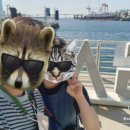 백화양곱창9호 이미지