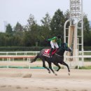 와마코리아 이미지