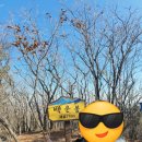 민주지산 자연휴양림 휴양관 205호 3박 4일 100대 명산 등산 여행 후기입니다