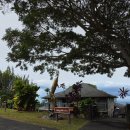 7346 | 코나 커피 장 코나조 커피 아메리카노 에스프레스 커피 원두 방문 후기