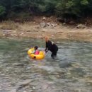 어쩌다동막골 이미지