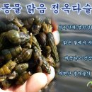 자연산다슬기집 이미지