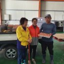 장연양계 이미지