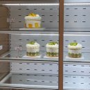 용수베이커리 | <오창 과일케이크 맛집> 용수베이커리 망고축제 후기!