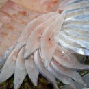 송백횟집 이미지