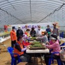 청양 3리 이미지