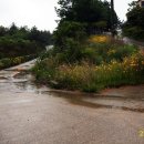 산새들어린이집 이미지