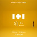 [국내여행] 원주 반계리 은행나무 (주차, 공용화장실) / 섬강막국수(수육, 비빔막국수 맛집) 뮤지엄 산...