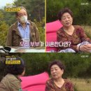 강부자