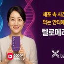 GK에너지 이미지