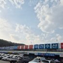[대구_북구]대구 매천시장 수산시장_22번집 모듬회 후기 (내돈내산)