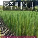 사구실농원 이미지