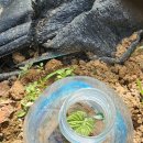 리싸이클세상 이미지