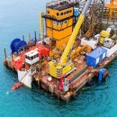 대성자동차나라 이미지