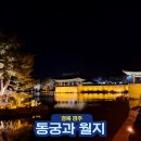 목아박물관관화장실 | 경주 동궁과 월지 야경 시간 명소 안압지 이름
