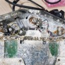 아라메드 이미지