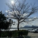 오륙도식당 | 오륙도 밥집 수제순대 국밥 먹고 온 후기