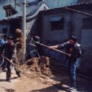 명화극장 이미지