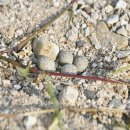 감천제방 이미지