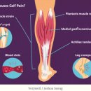 안아픈세상의원 이미지