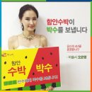 패밀리판타지쇼 이미지