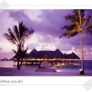 몰디브호텔 이미지