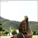 해양생태관 이미지