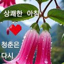 바른의료기 Daum카페