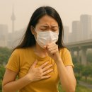 용산매일여는약국 | 2026년 설 연휴, 서울 도심권(종로·중구·용산)문 여는 병원, 동네 의원 및 약국 리스트 총정리