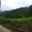 김삿갓면-2 이미지