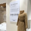 아이더샤모니 이미지