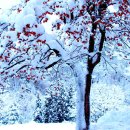 겨울나그네 이미지