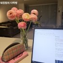 한아름세탁소 이미지