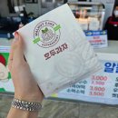 정선 파크로쉬 리조트앤웰니스 숙암룸 강원도 정선 가볼만한곳 맛집 정리