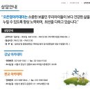 오은영 박사 나이 오은영 의원 오은영 아카데미 상담 이국종 관계