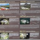 마곡사 주차장1 이미지